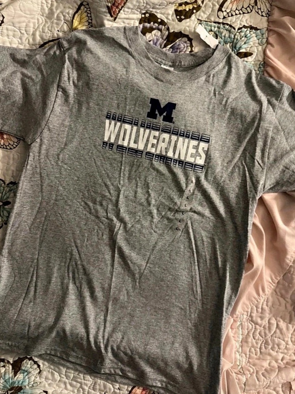 Hanes Michigan Wolverines Gray T-Shirt Size Large NWT